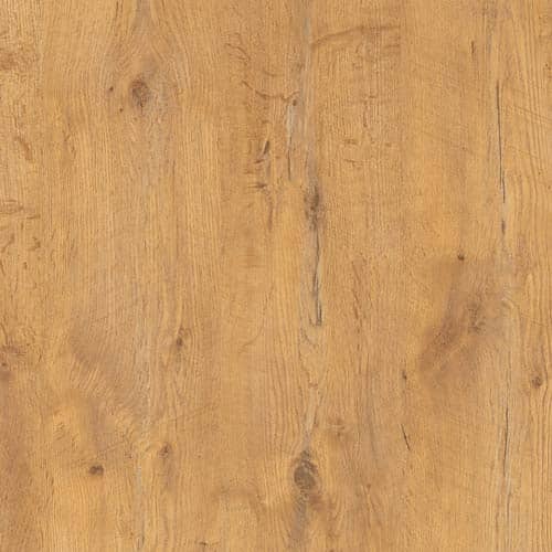 R4262 Pale-Lancelot-Oak